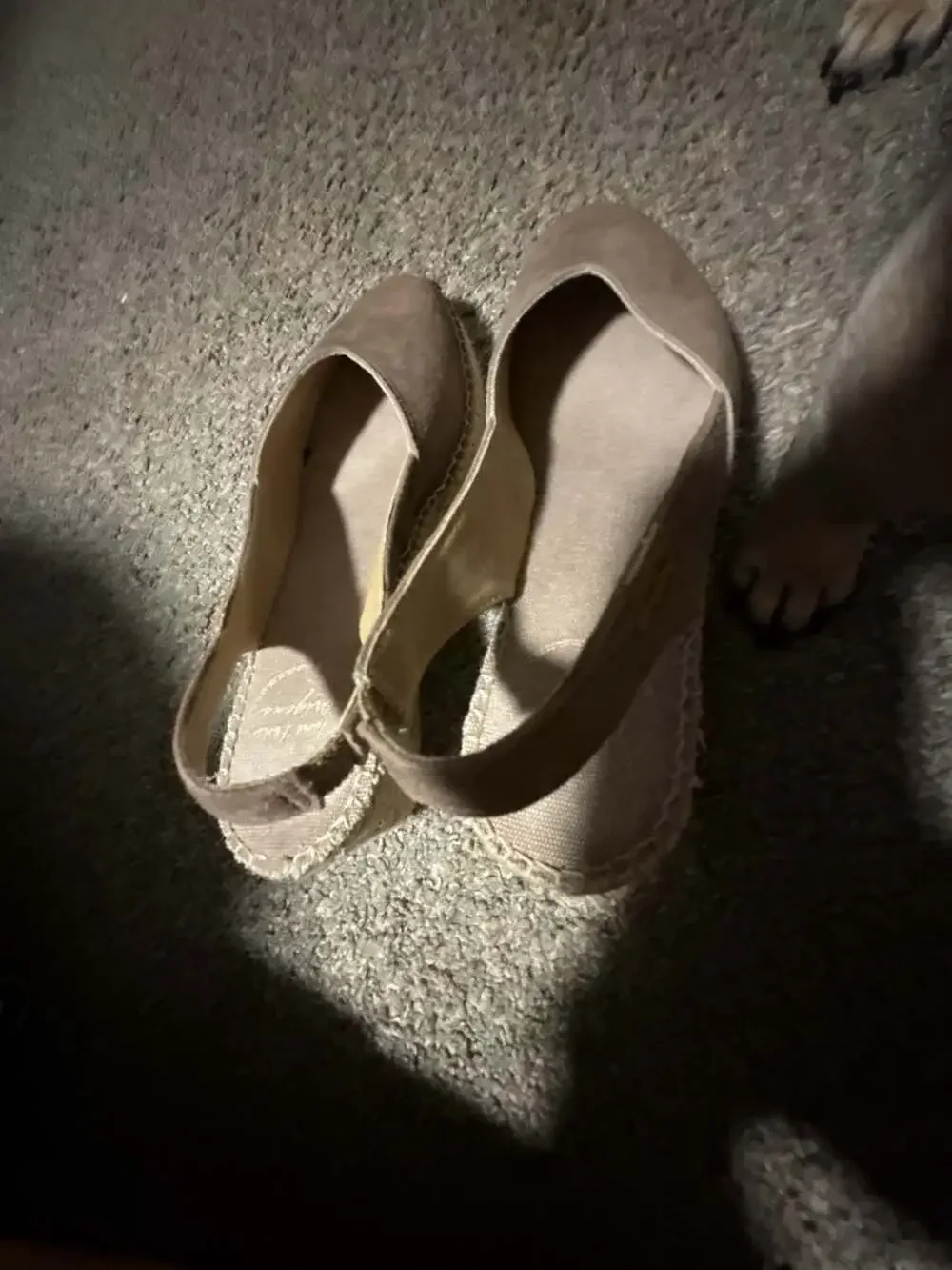Toni Pons Suede Slingback Wedge Espadrilles